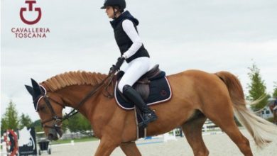 Photo of Alt til rytter og hest