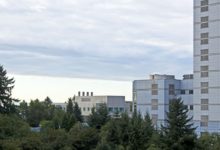 Photo of Få et trist murværk flot igen ? kontakt en algespecialist