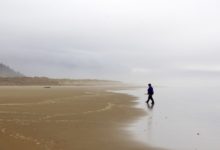 Photo of I skovens dybe stille ro