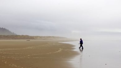 Photo of I skovens dybe stille ro