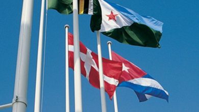 Photo of Hyld danskheden med en flagstang