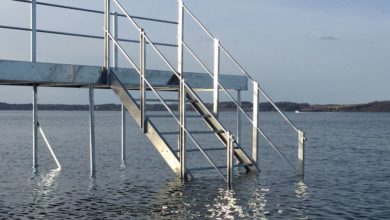Photo of Når ens Badebro har brug for en opmuntring