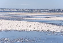 Photo of Nyd havet på fridagen