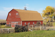 Photo of Fordelene ved at installere et hegn